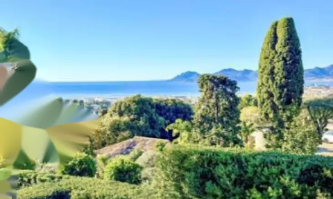 Недвижимость Villa Cannes Californie: 3