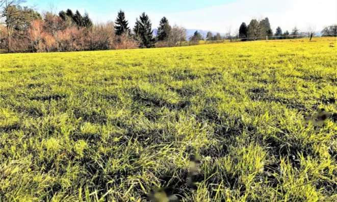 Недвижимость Инвестиционный участок в Верхней Гамельне: 2