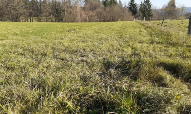 Недвижимость Инвестиционный участок в Верхней Гамельне: 3