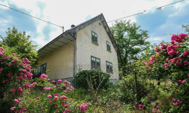 Недвижимость Участок, пригодный для строительства в Новом Добруне: 3