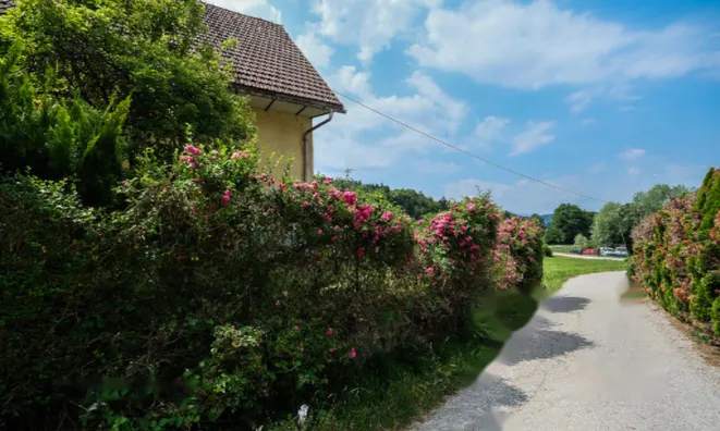 Недвижимость Участок, пригодный для строительства в Новом Добруне: 13