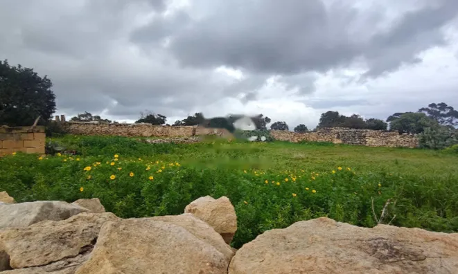 Недвижимость Harbor View Residences: 12