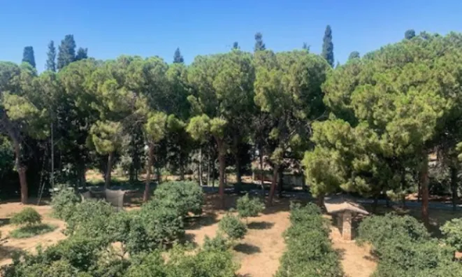 Недвижимость 5 Bedroom Apartment For Sale in Limassol, Potamos Germasogeia: 11