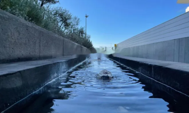 Недвижимость 2 Bedroom Penthouse Apartment For sale in Neapoli, Limassol: 12