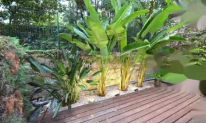 Недвижимость Apartment Cannes Croix Gardes: 11