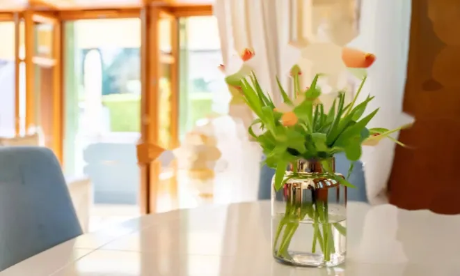 Недвижимость Apartment Cannes République: 9