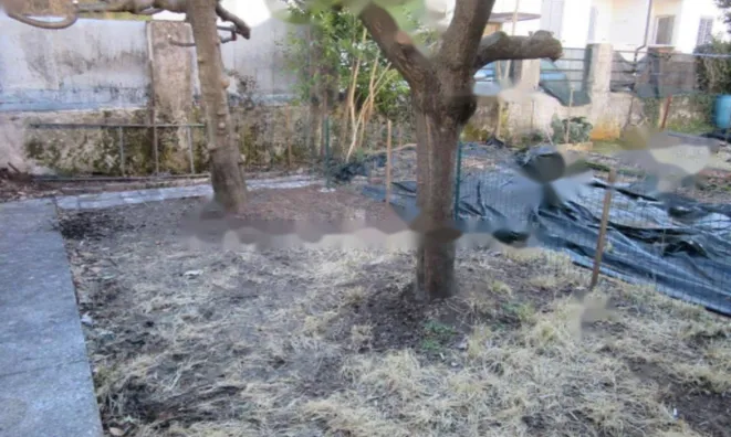 Недвижимость Четырехкомнатная в центре Гориции: 13