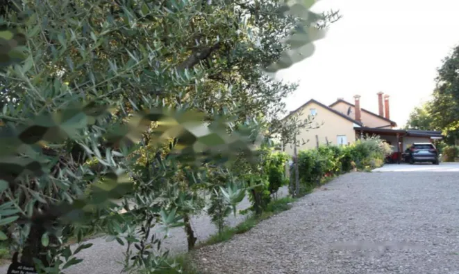 Недвижимость Дом Драгонья: 4