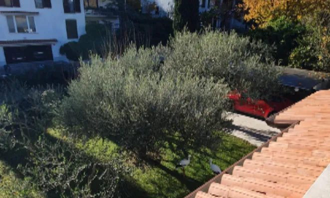 Недвижимость Дом Новый Изола Ягоде: 25