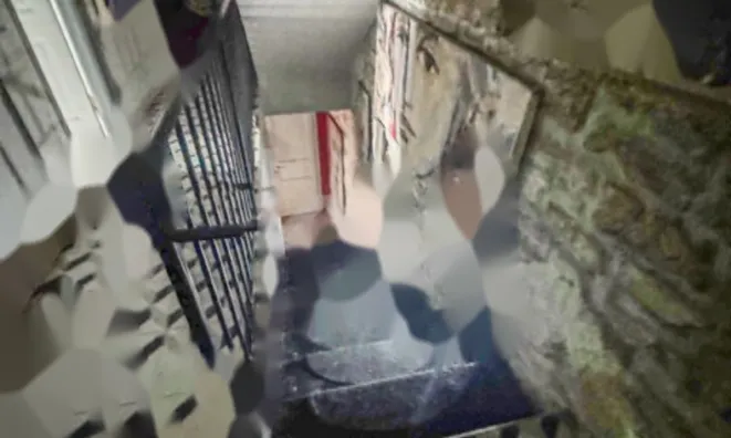 Недвижимость Дом с террасой Изола: 15