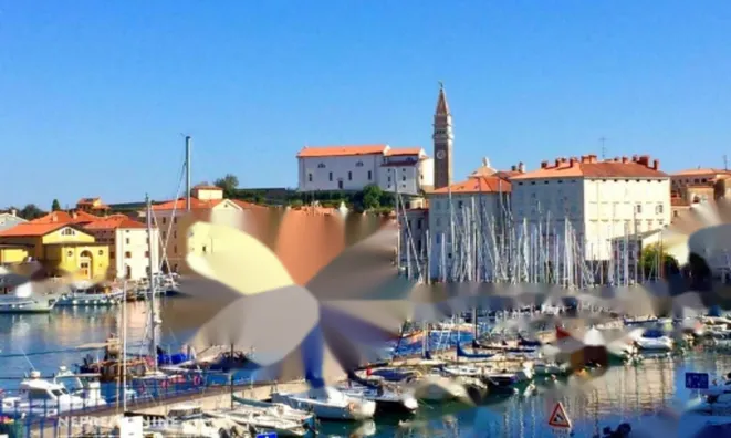 Недвижимость Дом с террасой Новый Пиран: 27