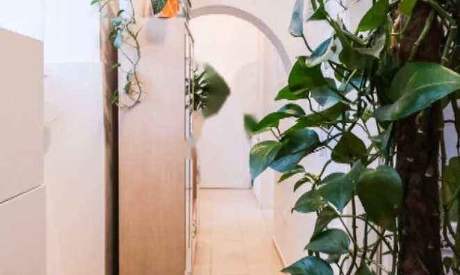 Недвижимость Квартира в центре Любляны: 11