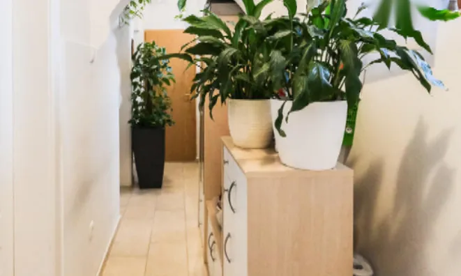 Недвижимость Квартира в центре Любляны: 12