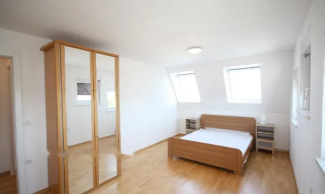 Недвижимость Квартира, 5+ комнат, Любляна: 14