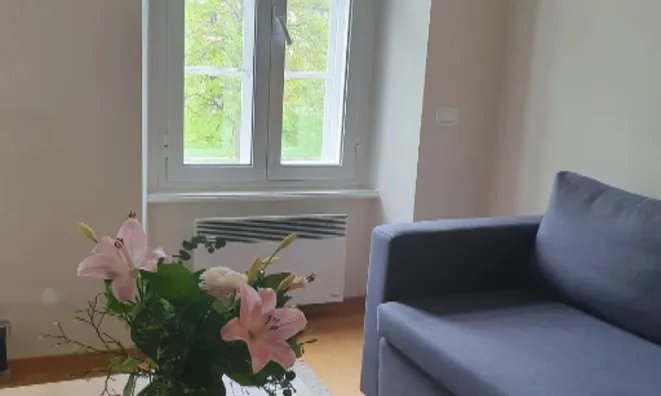 Недвижимость Квартира, 1,5 комнаты, Любляна центр: 4