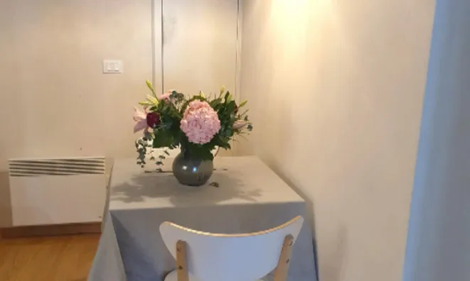 Недвижимость Квартира, 1,5 комнаты, Любляна центр: 7