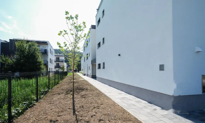 Недвижимость Двухкомнатная квартира Бежиград: 16