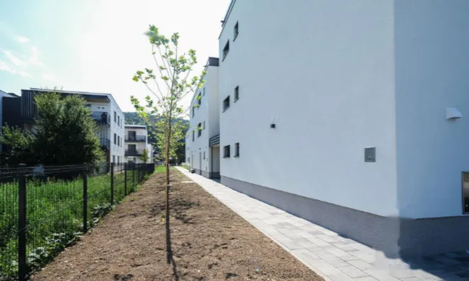 Недвижимость Квартира 2-комнатная Новая Надгорица: 13