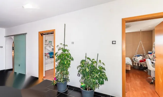 Недвижимость Квартира, 5 и более комнат: 13