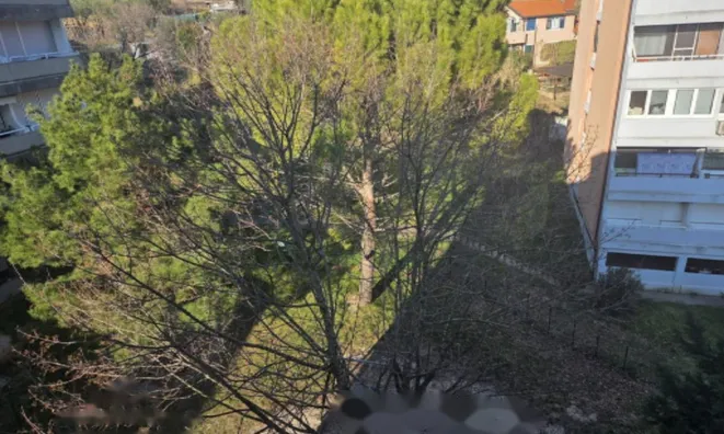 Недвижимость Трехкомнатная квартира Новый Лучия: 9