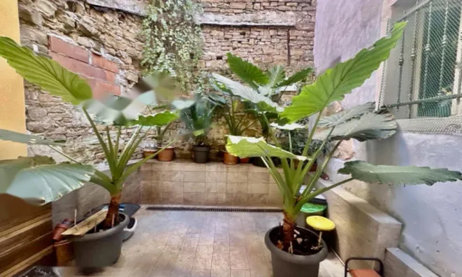 Недвижимость Новое трёхкомнатное жильё в Пиране: 16