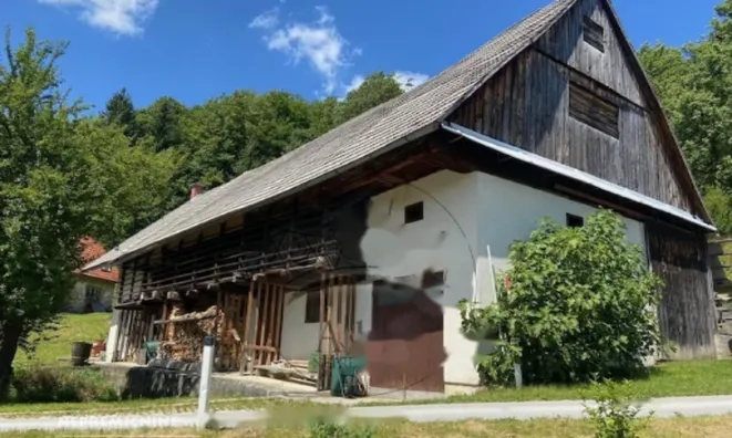 Недвижимость Усадьба, ферма Лашская Деревня.: 3