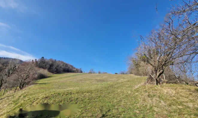 Недвижимость Имение, ферма Старый Град: 5