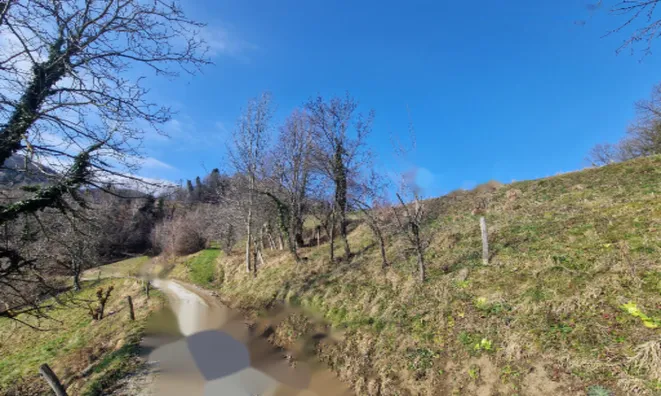 Недвижимость Имение, ферма Старый Град: 6