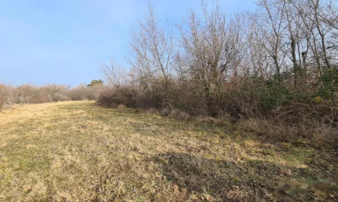 Недвижимость Усадьба, ферма Тиньян, Урбанцы.: 3