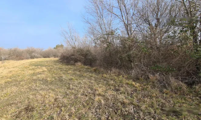 Недвижимость Усадьба, ферма Тиньян, Урбанцы.: 4