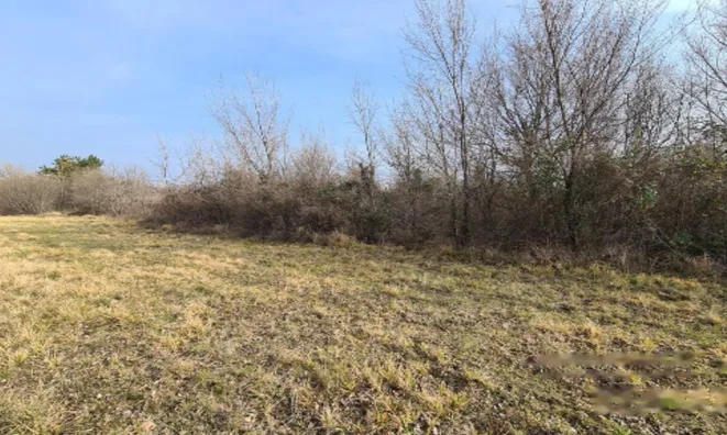 Недвижимость Усадьба, ферма Тиньян, Урбанцы.: 5