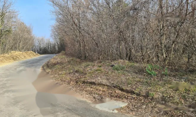 Недвижимость Усадьба, ферма Тиньян, Урбанцы.: 7