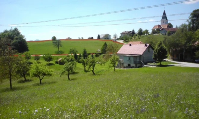 Недвижимость Имение и усадьба Тополё, Текачево.: 3