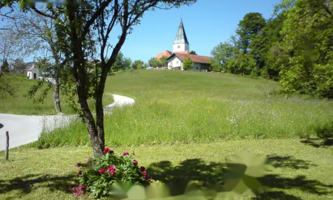 Недвижимость Имение и усадьба Тополё, Текачево.: 4