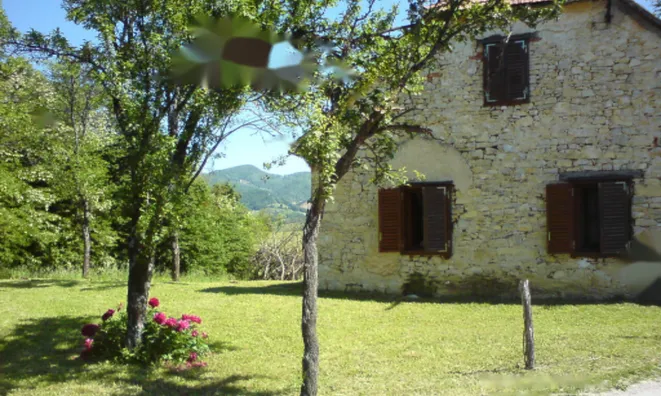 Недвижимость Имение и усадьба Тополё, Текачево.: 8