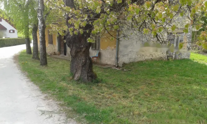 Недвижимость Имение и усадьба Тополё, Текачево.: 9