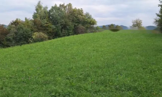 Недвижимость Имение, ферма Воловле: 2