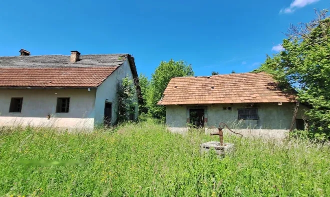 Недвижимость Поместье, ферма Забуковье.: 3