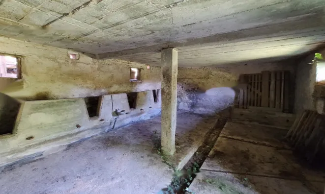 Недвижимость Поместье, ферма Забуковье.: 5