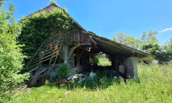 Недвижимость Поместье, ферма Забуковье.: 6