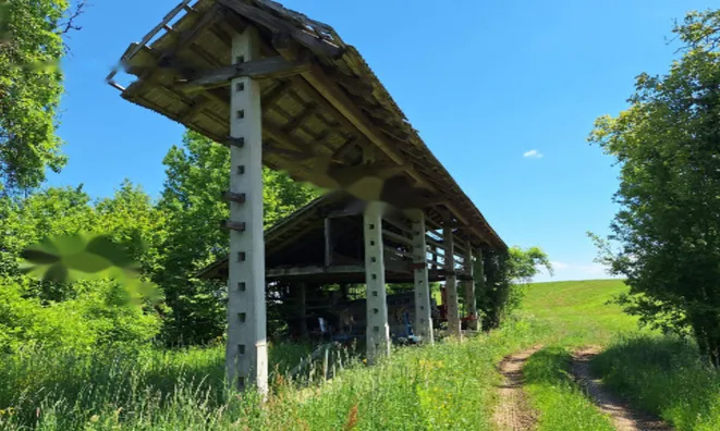 Недвижимость Поместье, ферма Забуковье.: 8