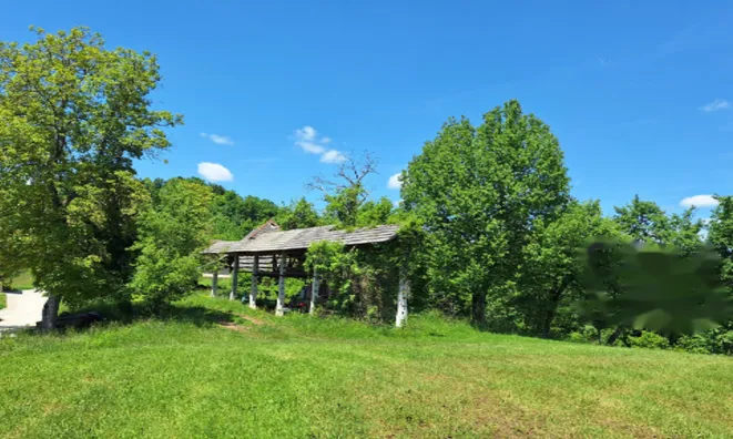 Недвижимость Поместье, ферма Забуковье.: 9