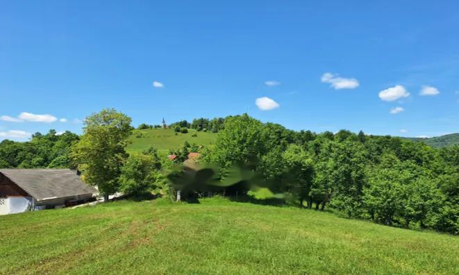 Недвижимость Поместье, ферма Забуковье.: 10