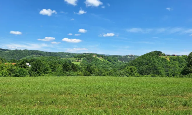 Недвижимость Поместье, ферма Забуковье.: 11