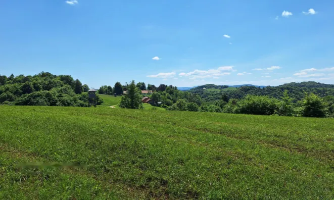 Недвижимость Поместье, ферма Забуковье.: 12