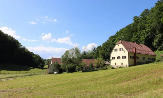 Недвижимость Усадьба, ферма Поченик.: 3