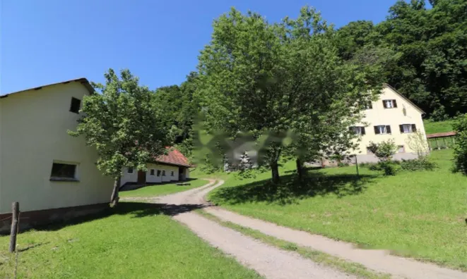 Недвижимость Усадьба, ферма Поченик.: 5