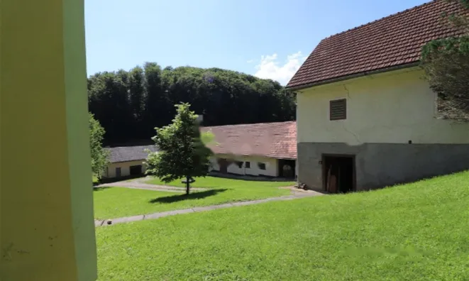 Недвижимость Усадьба, ферма Поченик.: 7