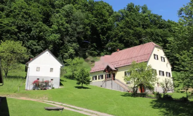 Недвижимость Усадьба, ферма Поченик.: 11