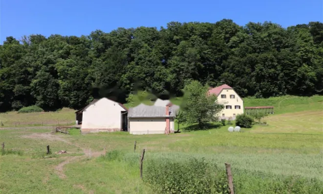 Недвижимость Усадьба, ферма Поченик.: 13